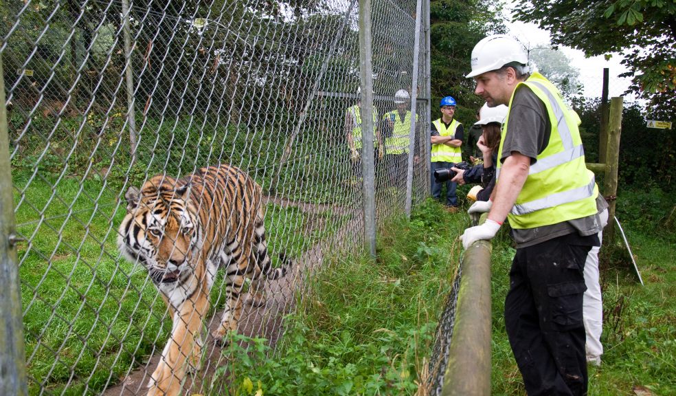 UK’s leading zoos visit Dartmoor Zoo to develop new goldstandard